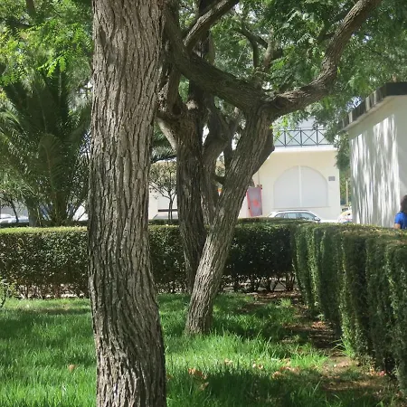 Algarveinn * 알투라